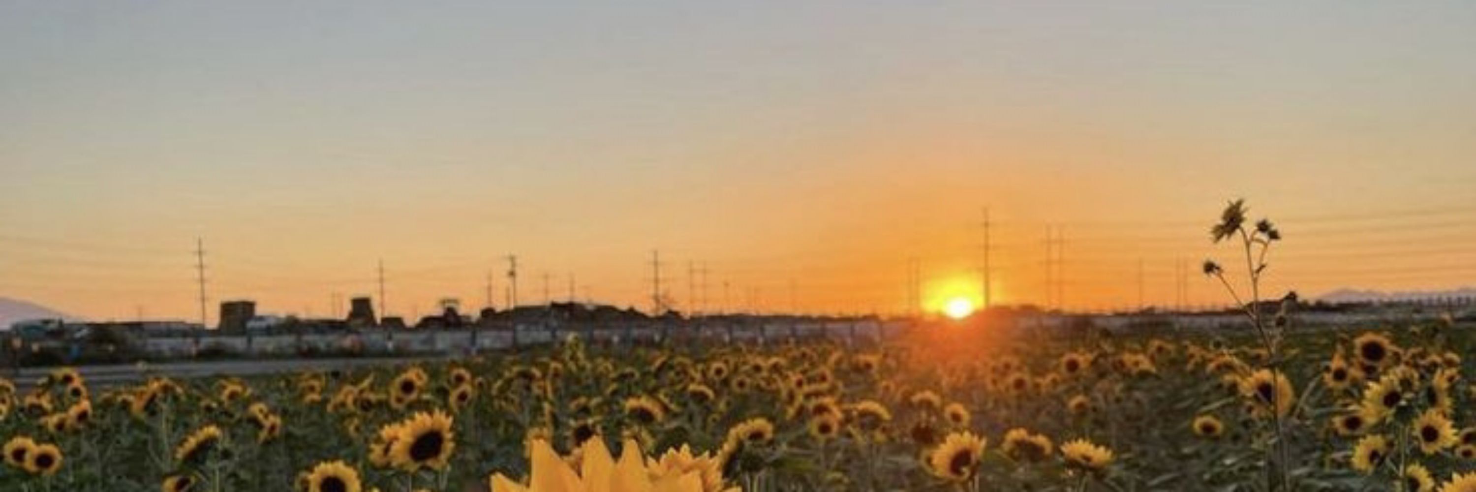 雨宮 夕月🌻🎀 | 2-C (แอคใหม่+ทยอยฟอล)