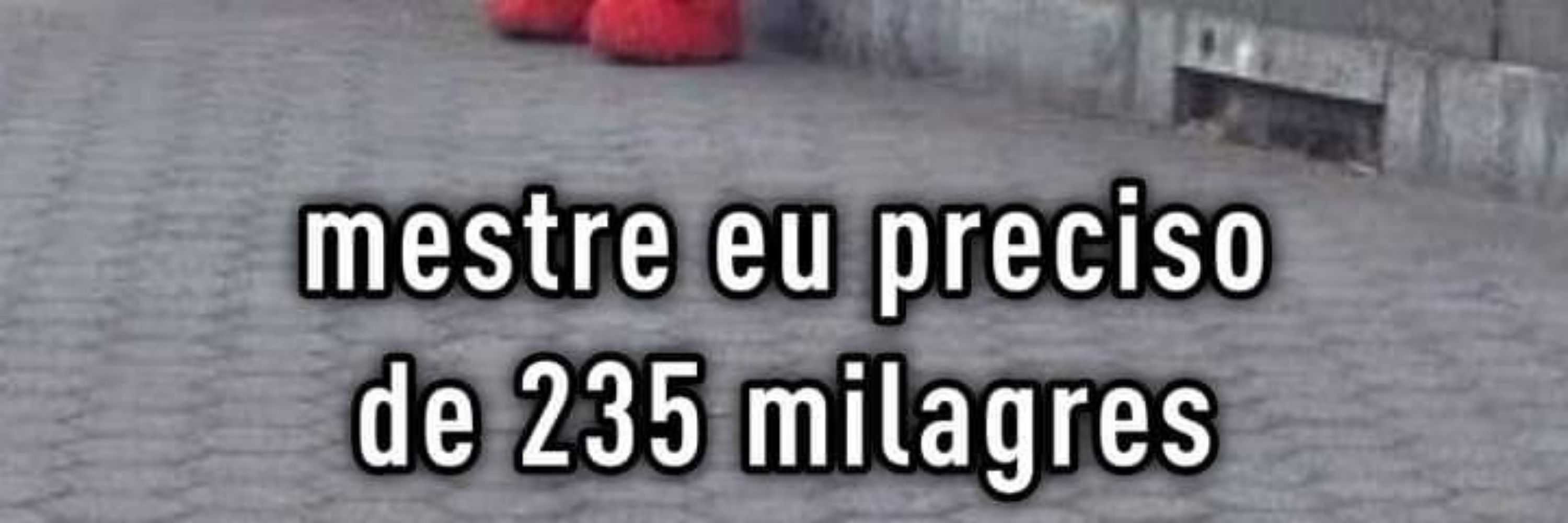 Ve 