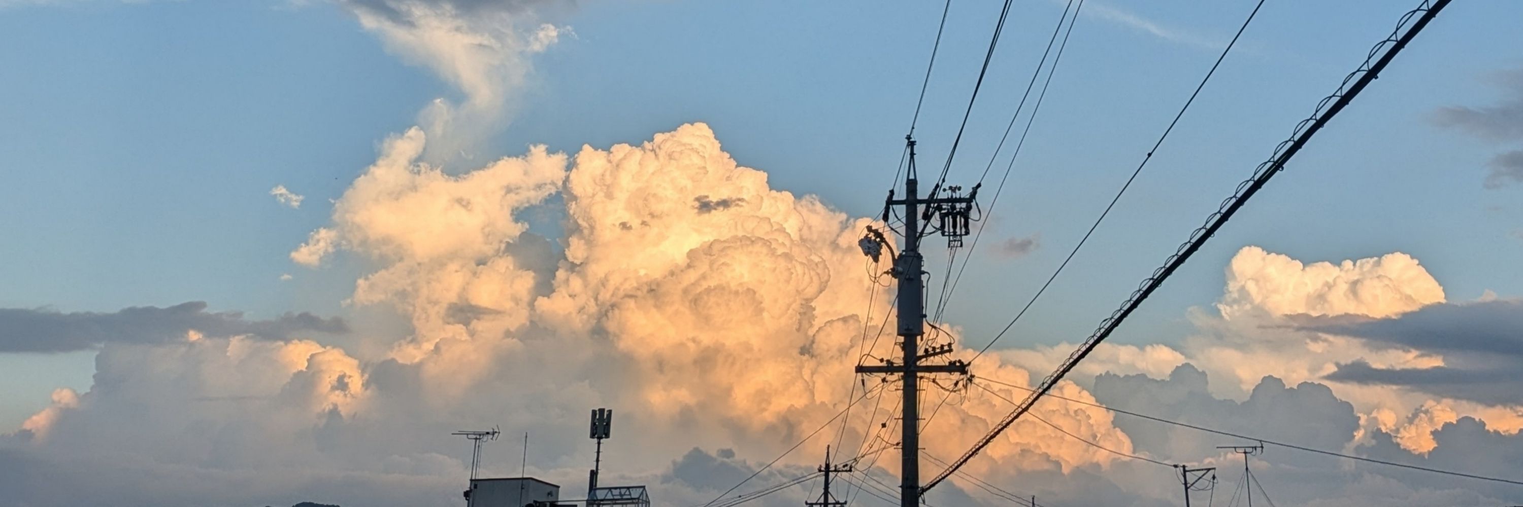 れい