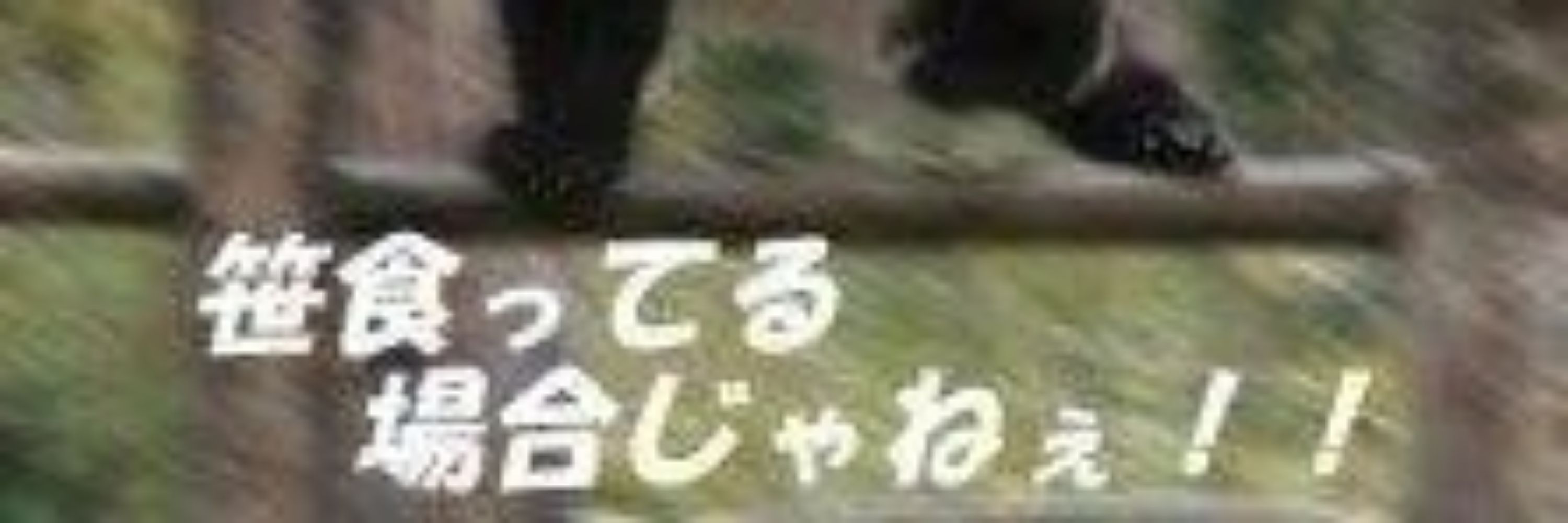 ほー民が尊いと思う人