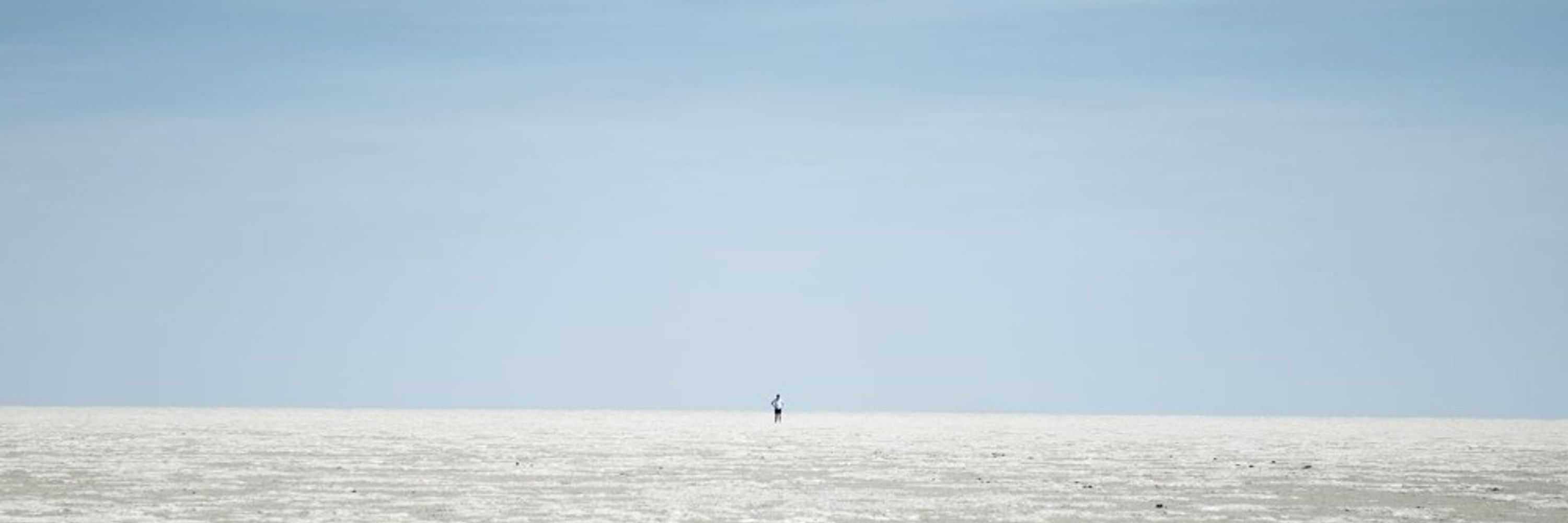 Nick Fitzhenry