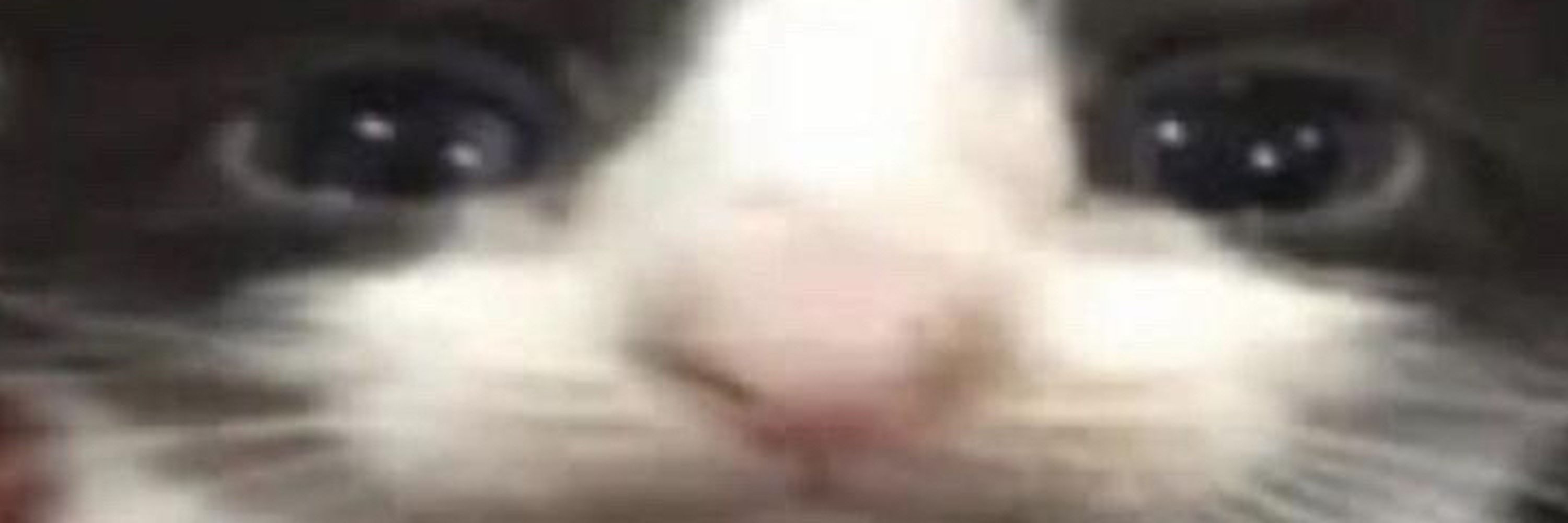 em
