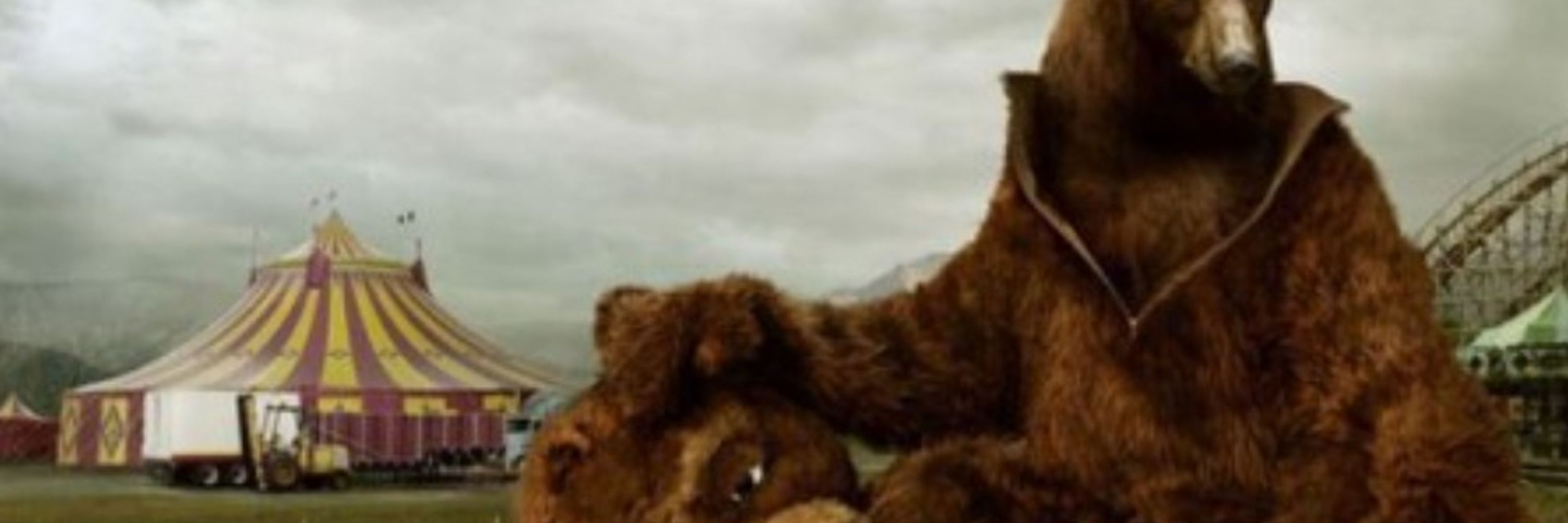 Tusbear