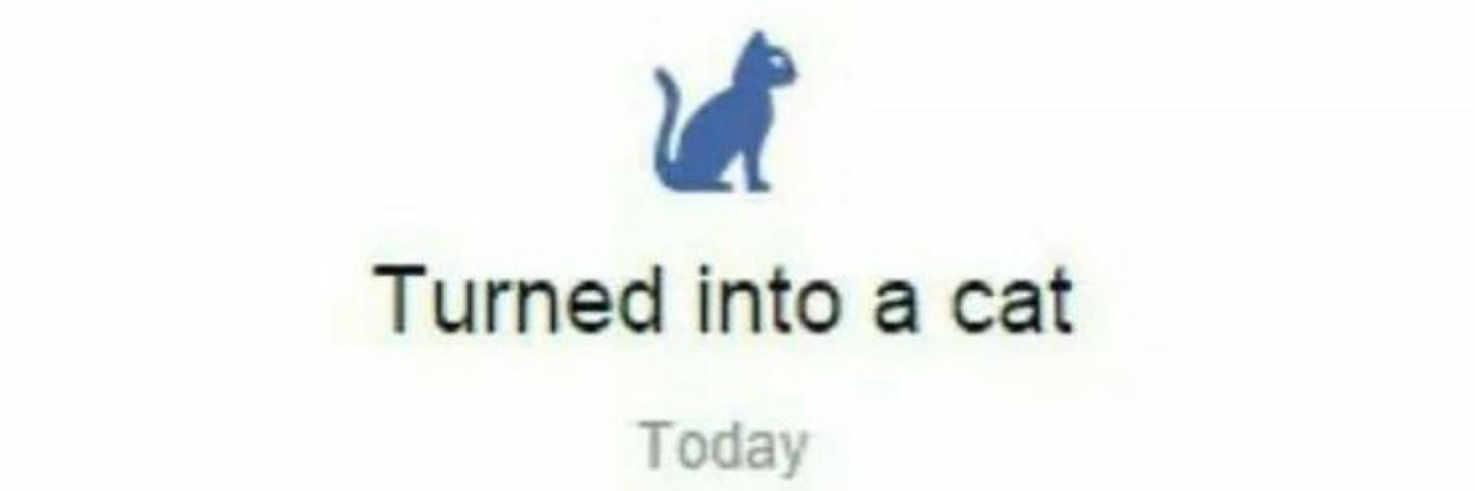 Skelecat