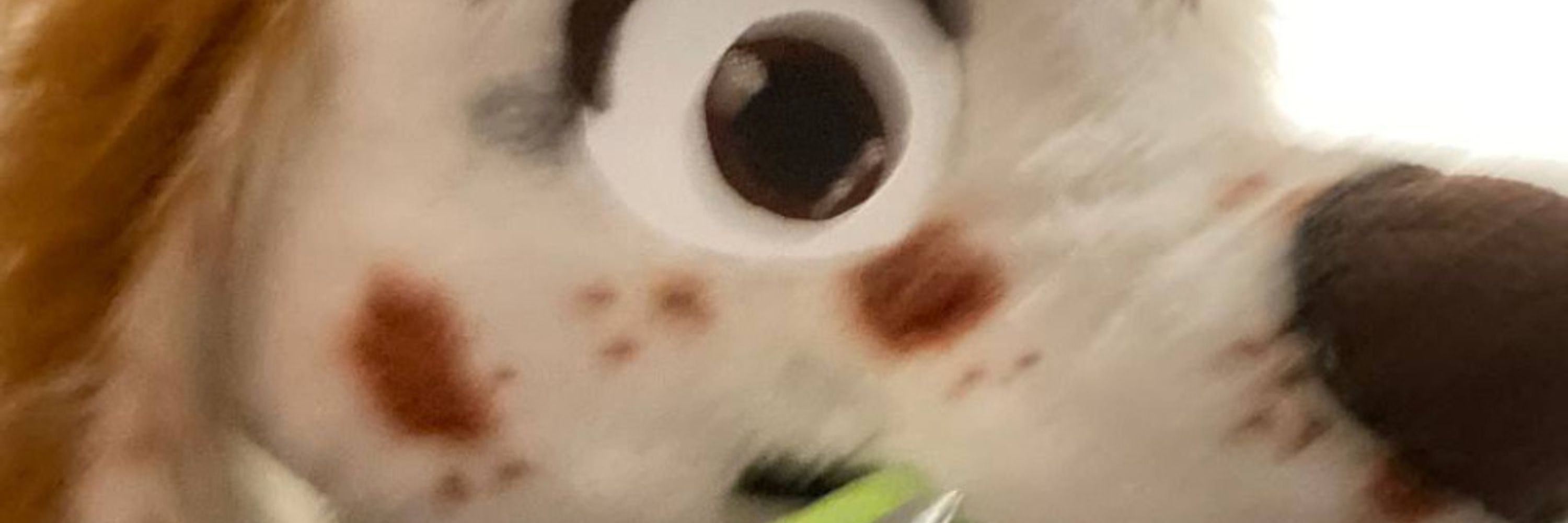 Motscoud