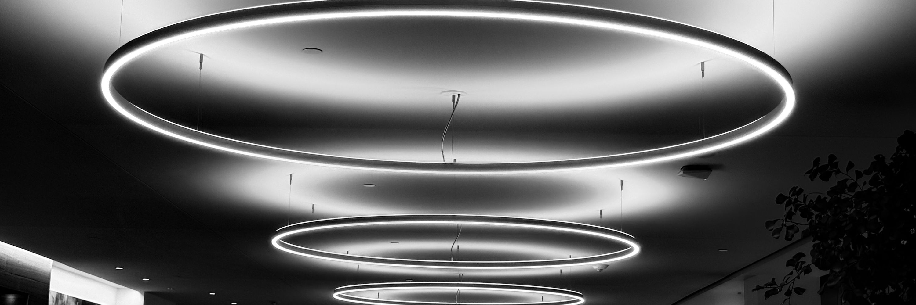Patrick Holland
