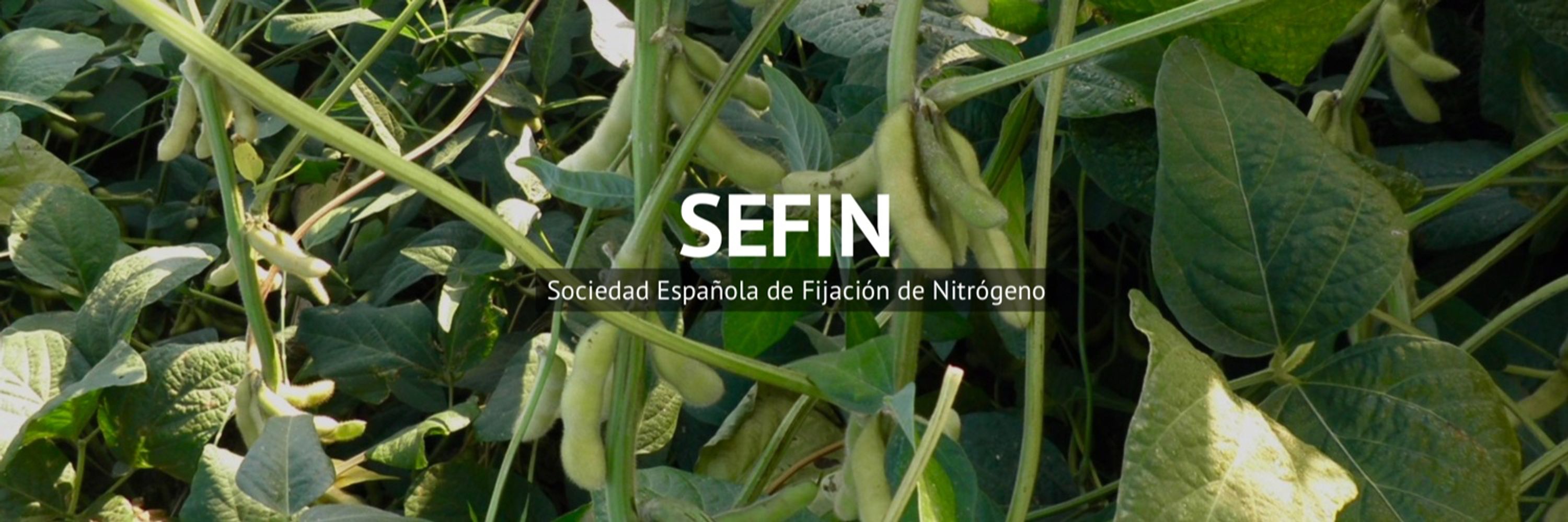 Sociedad Española de Fijación de Nitrógeno