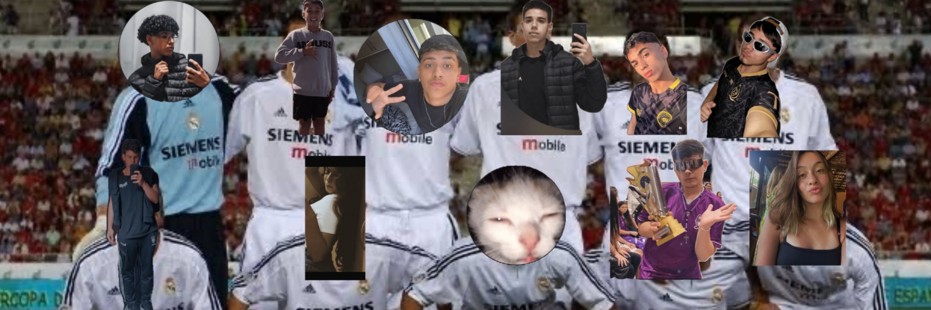 little gustavo do tetra?