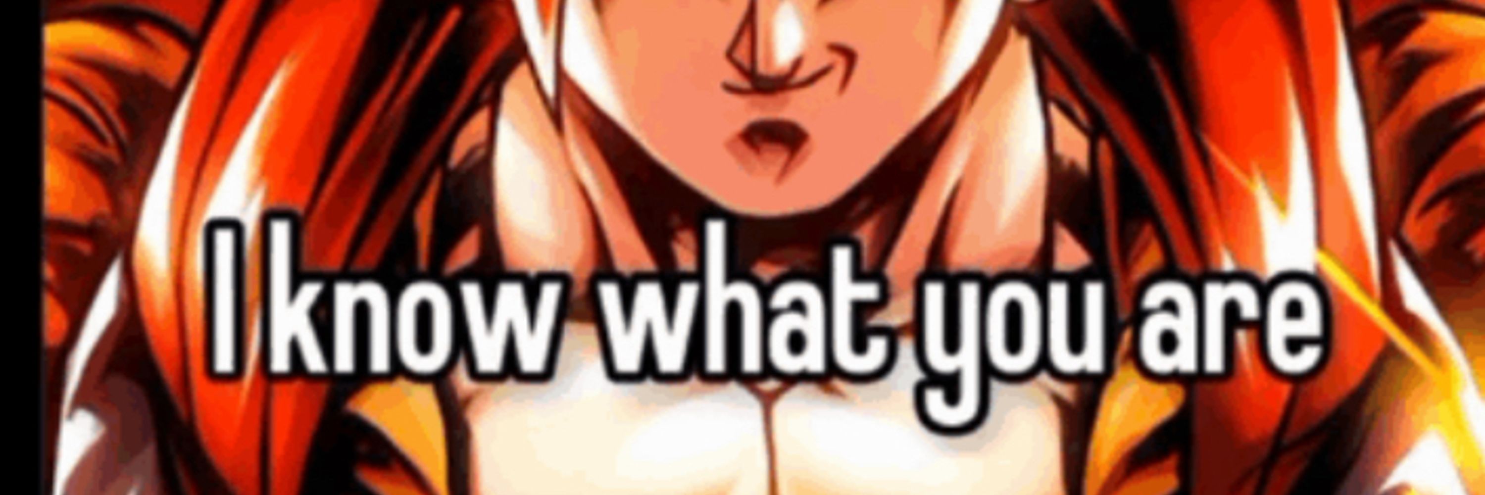Super Saiyan 4 Gogeta