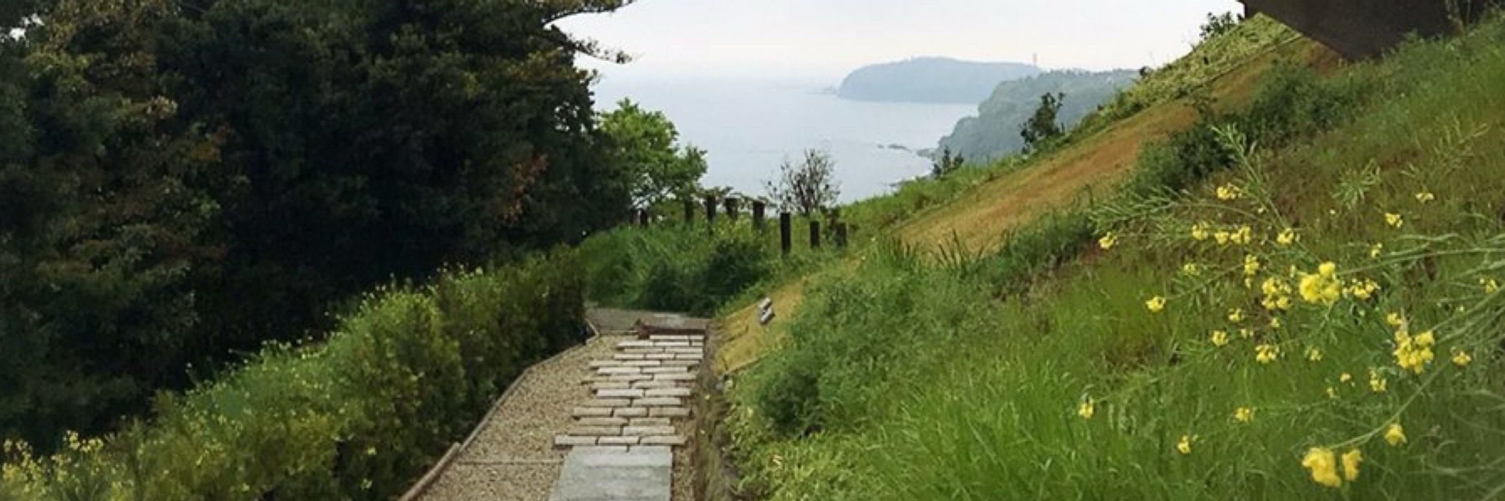 hase / vista