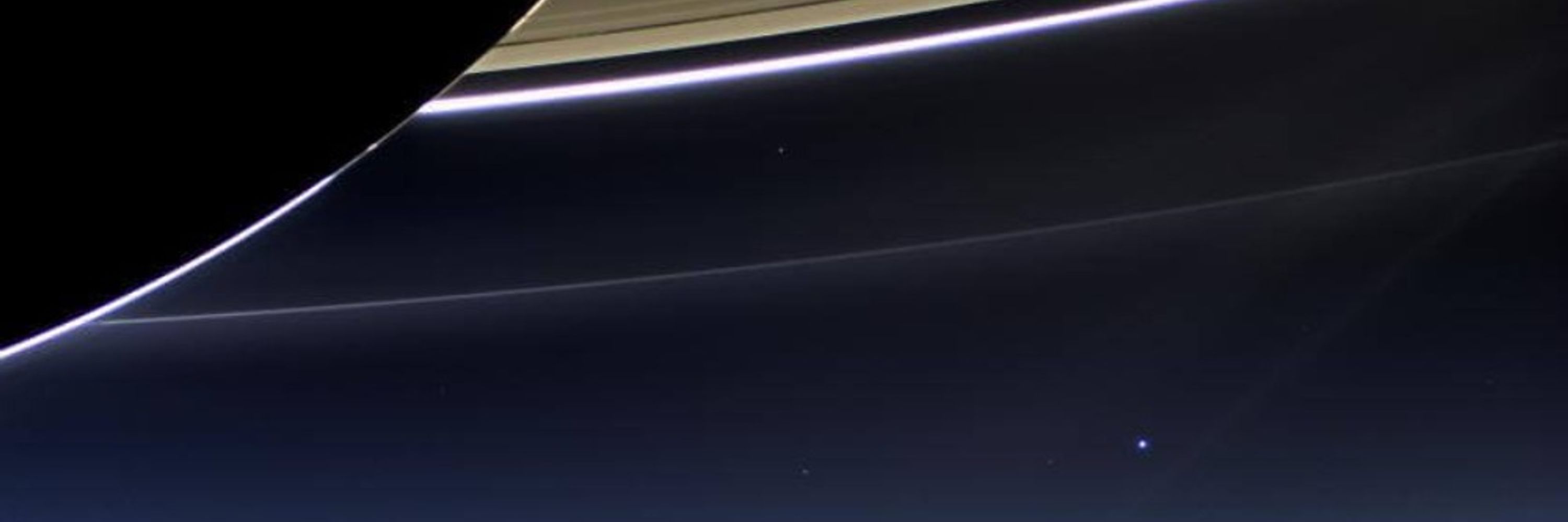 Profile banner