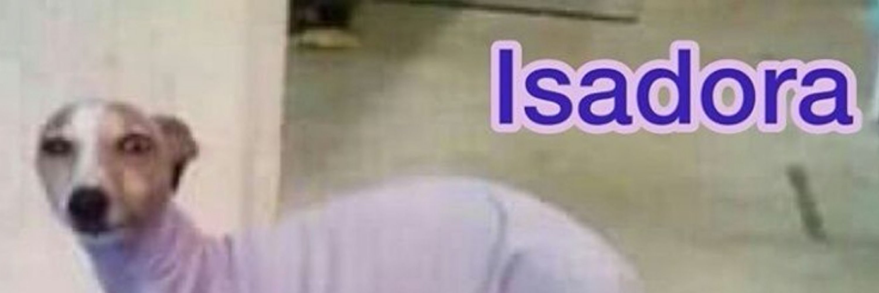 isa