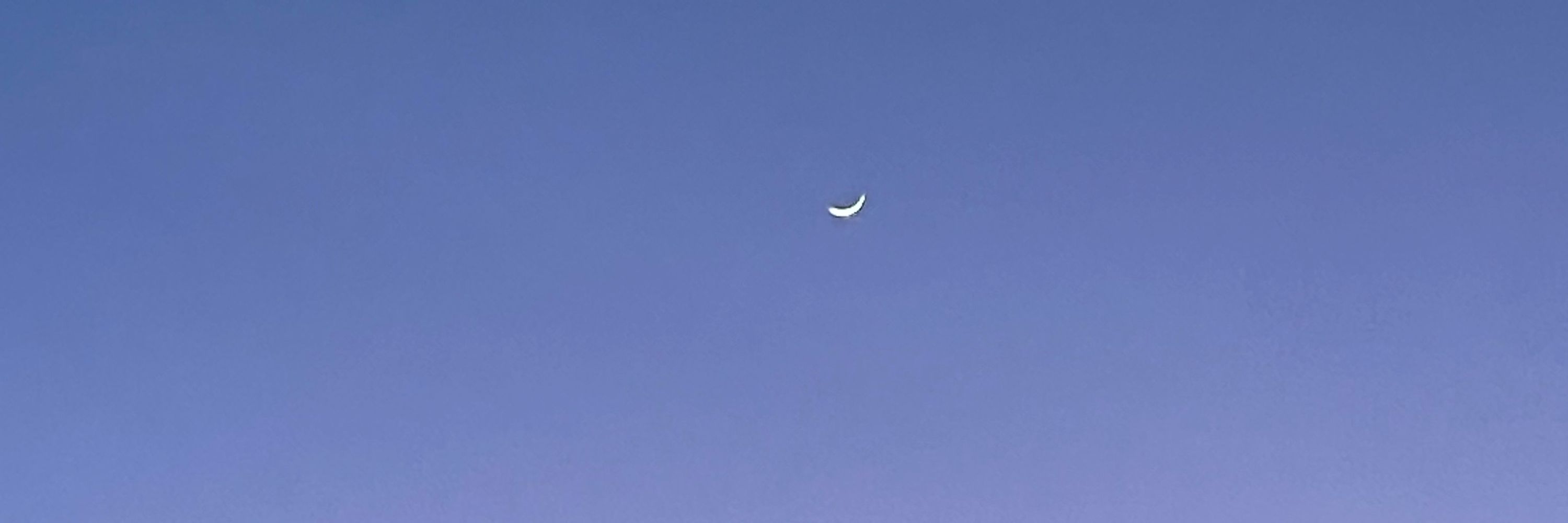 すしりす(青空)