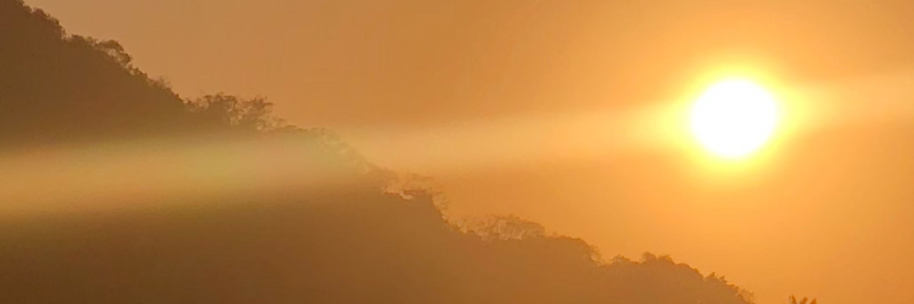 Sol