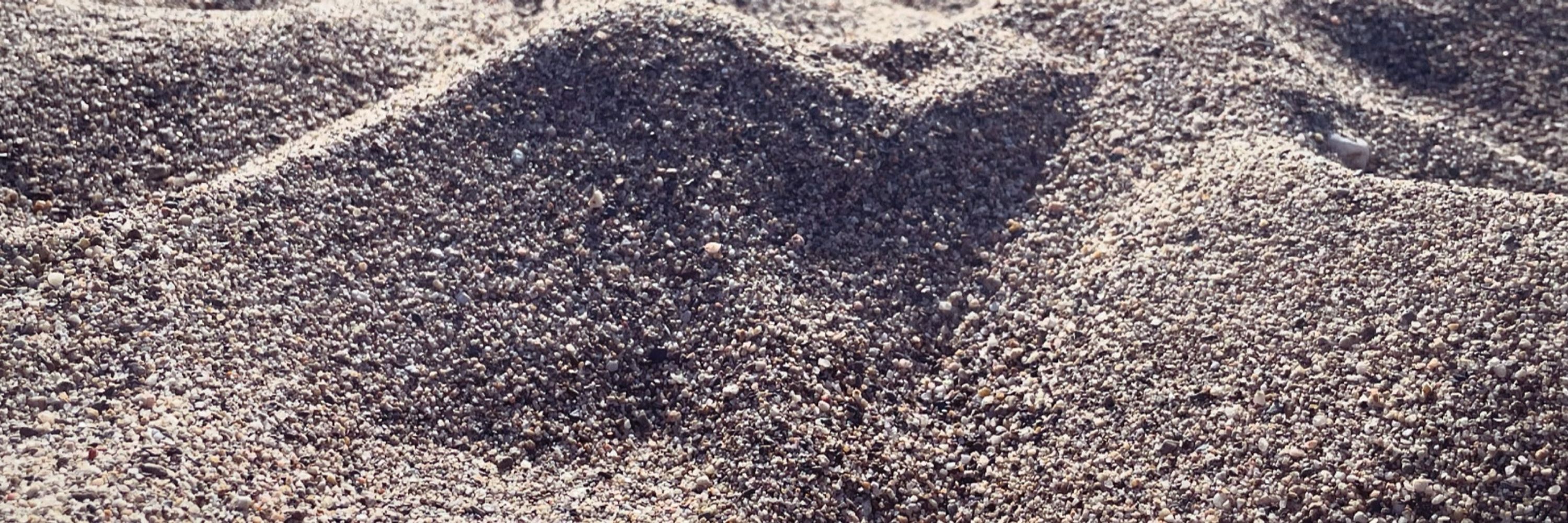 Svan