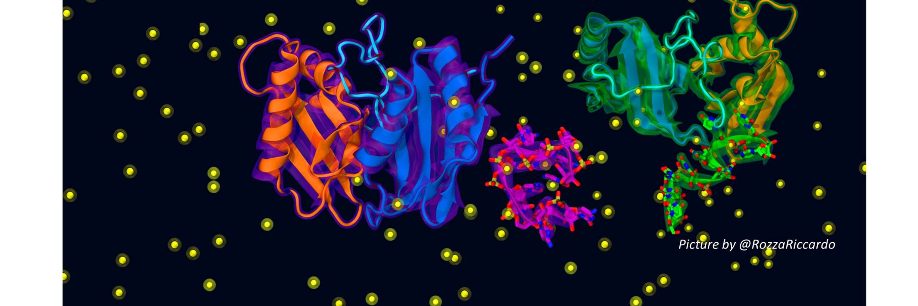 SCI Divisione di Chimica dei Sistemi Biologici