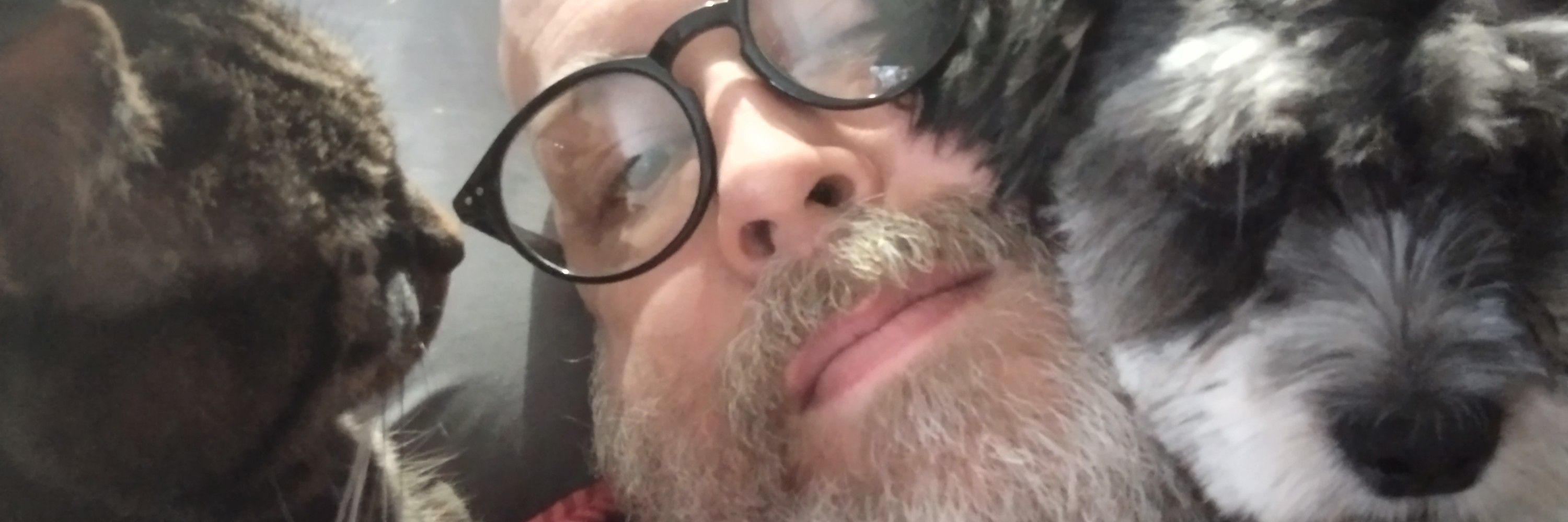 Scott 
