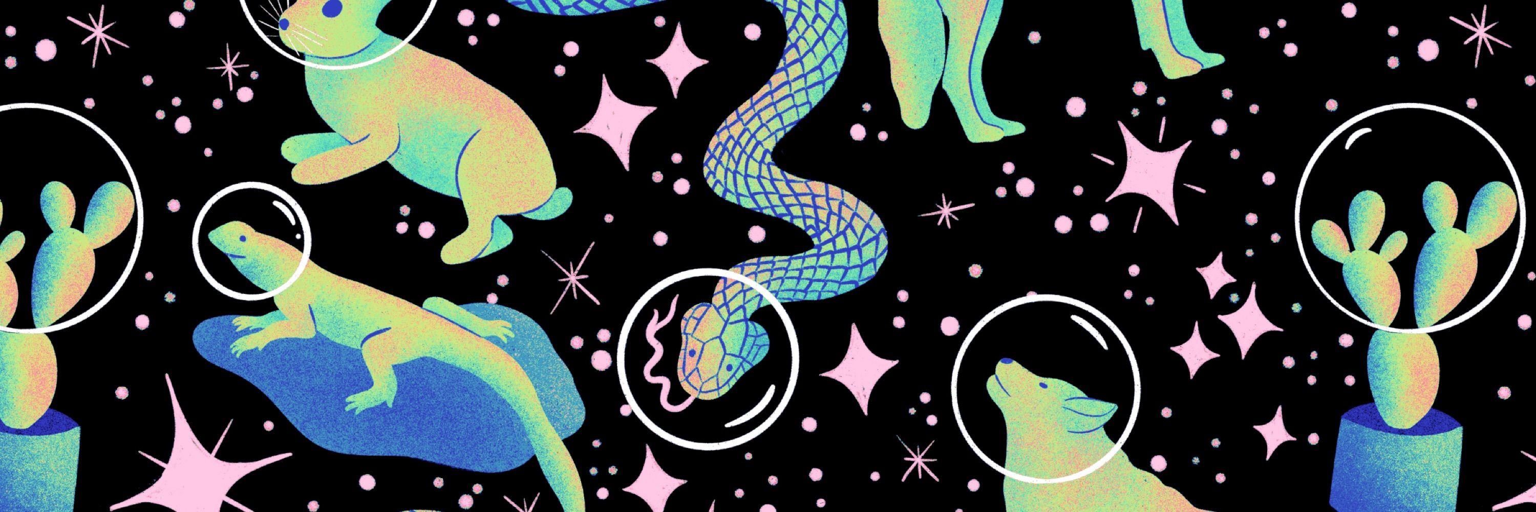 Palindrome Art