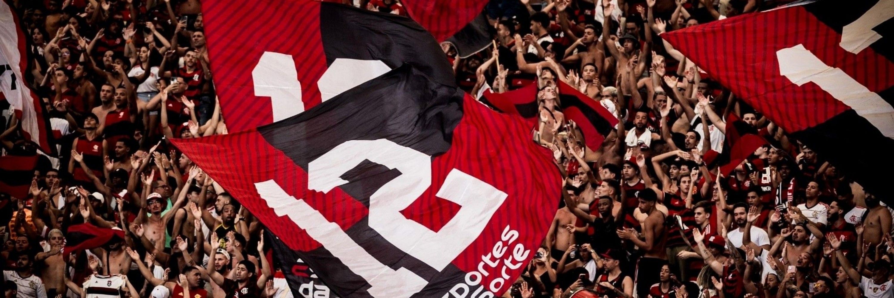 Digão Nação 12 
