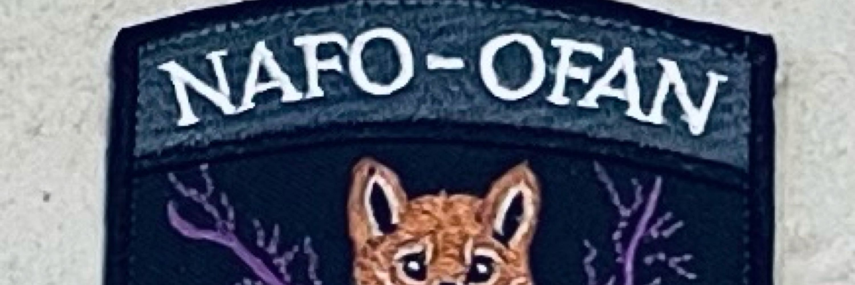 Sqeaky1149 NAFO OFAN