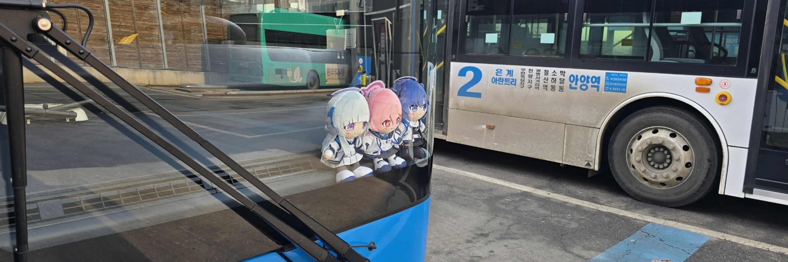 프로쨩