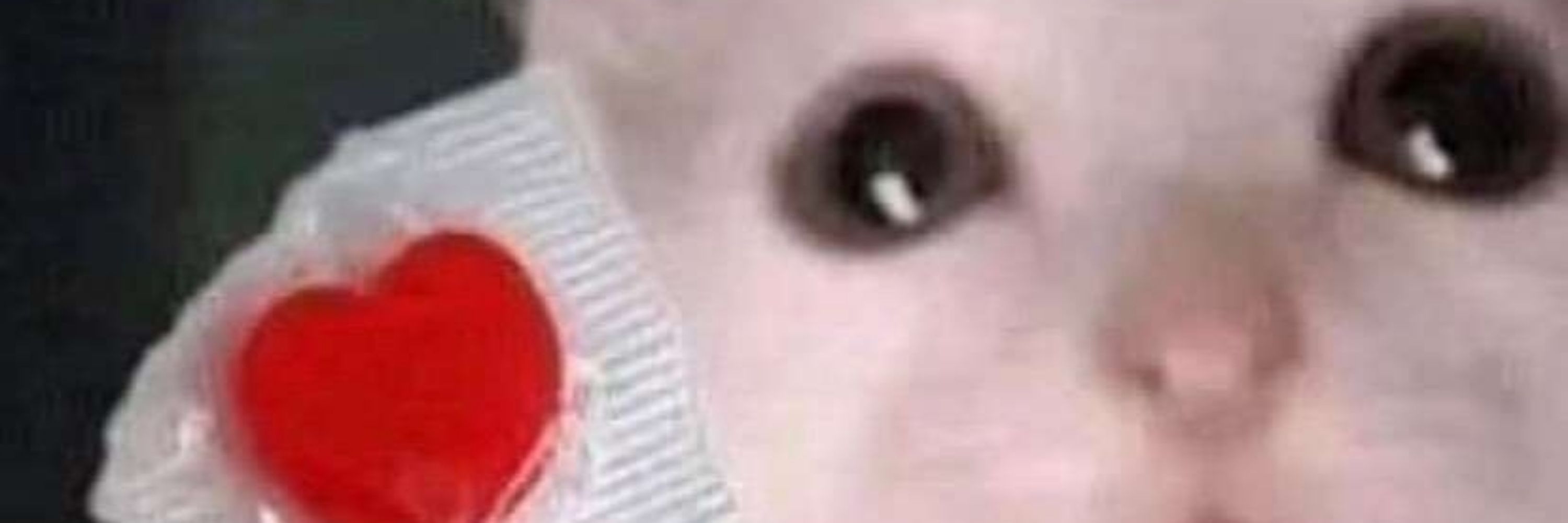 vino