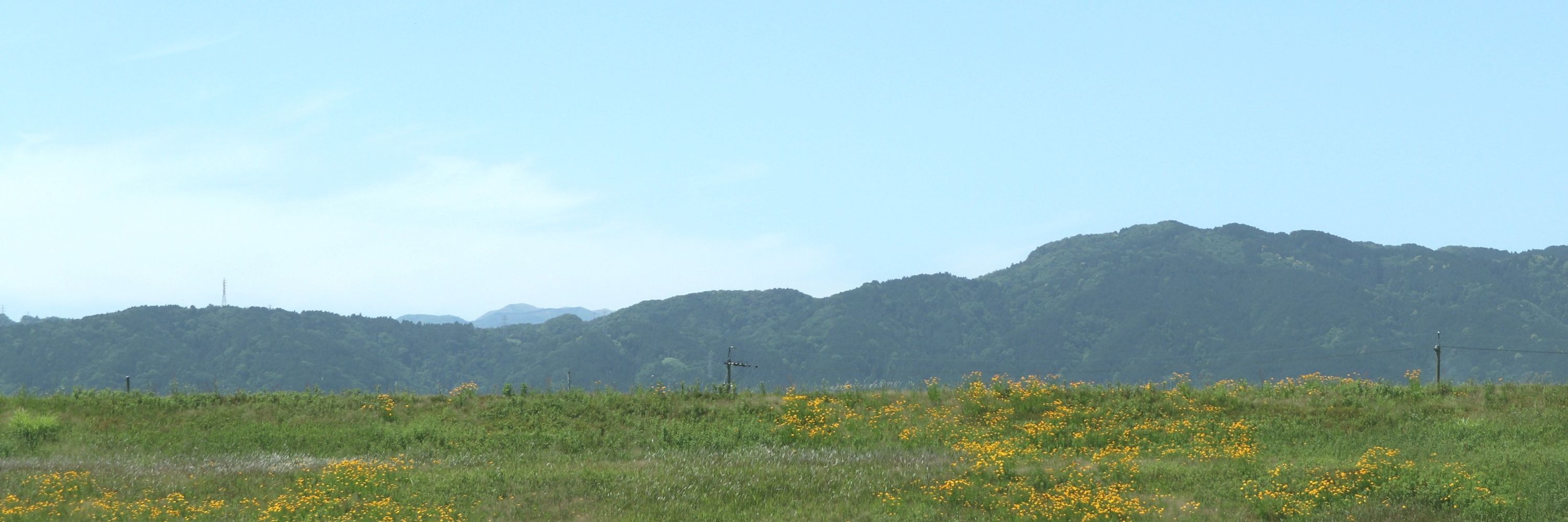 ことほぎ