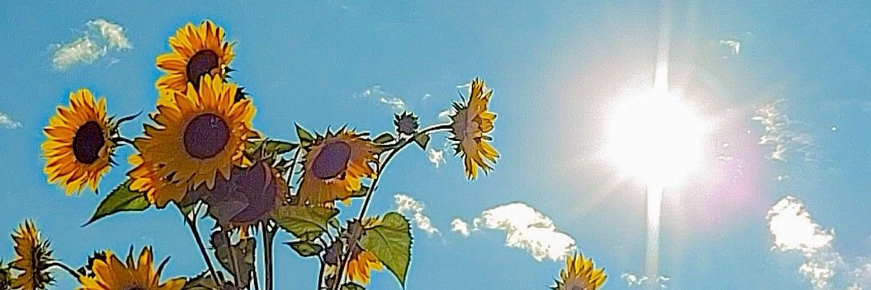 Kristopher🌻U⁠ ⁠´⁠꓃⁠ ⁠`⁠ ⁠U