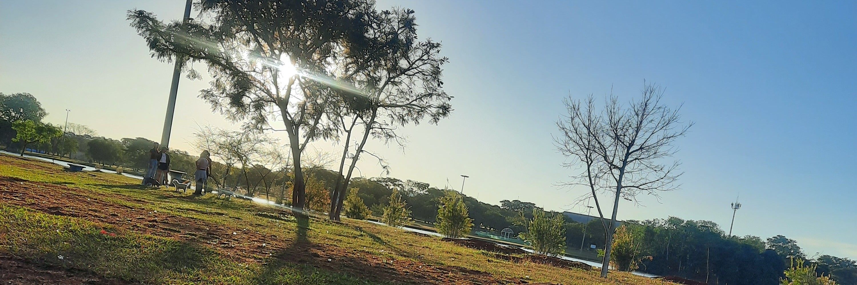 Sol ☀️