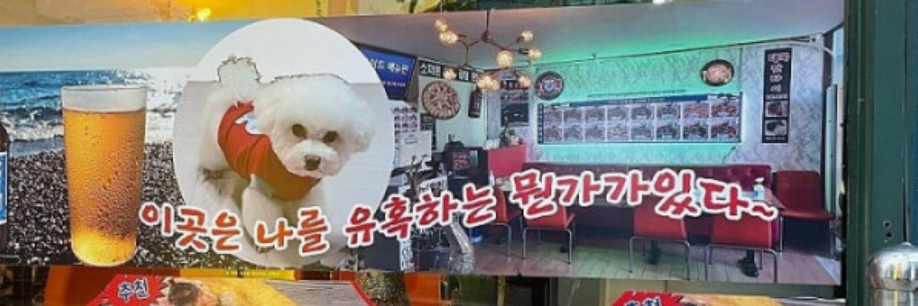raw mushroom (생부유) 🔒