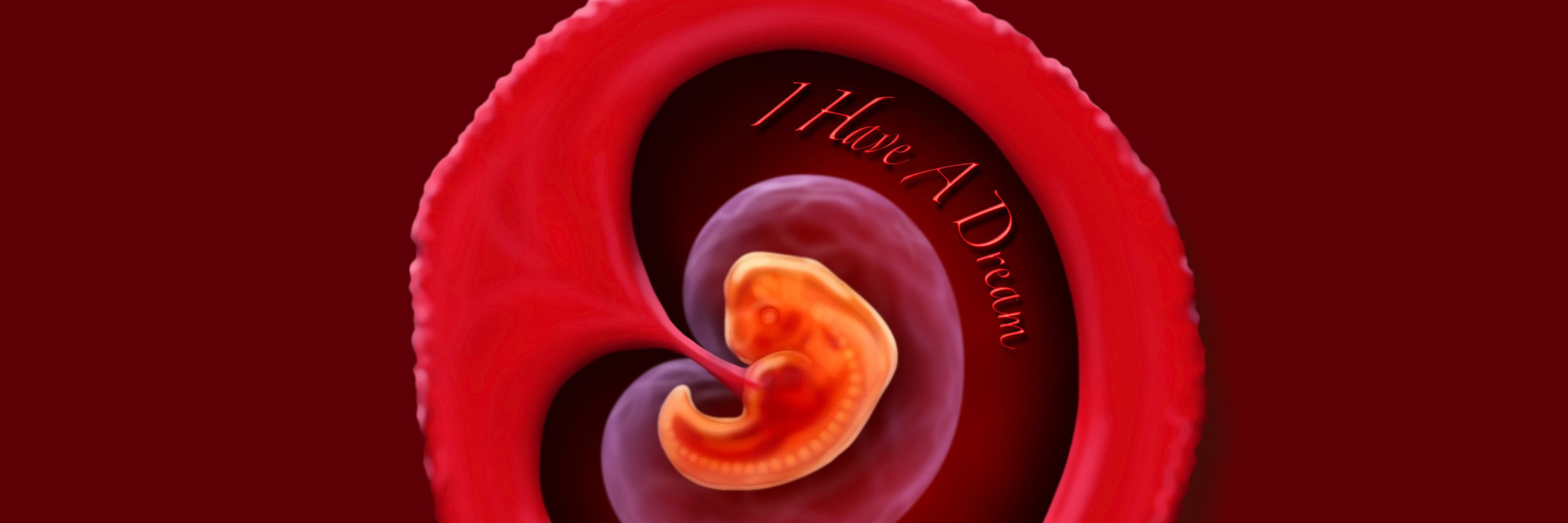 Pro-Life Atheist