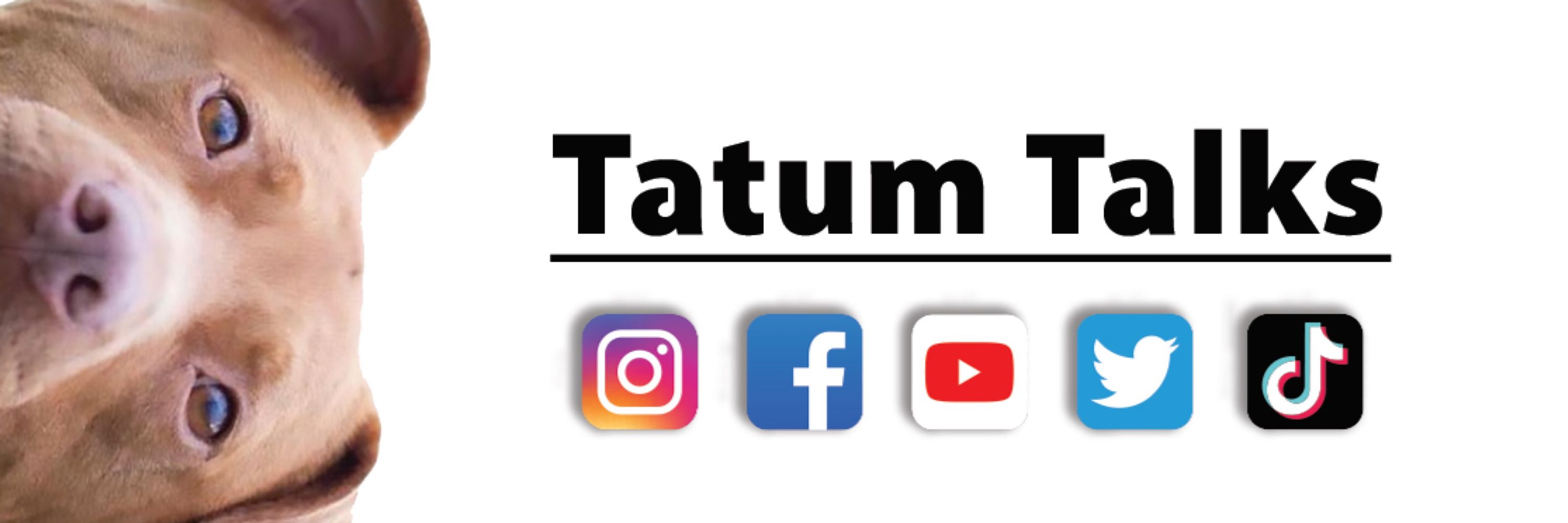 Tatum Talks