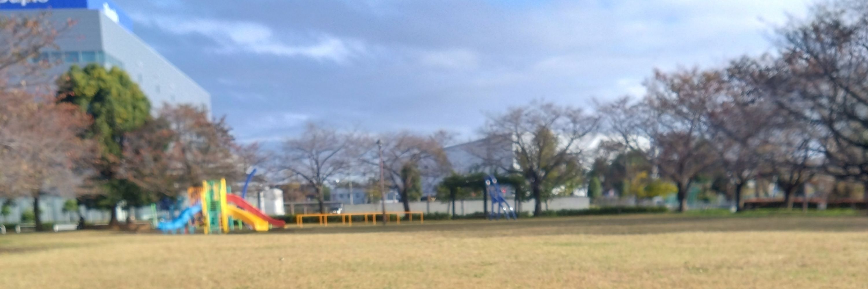 むぎ🍏ミセス垢