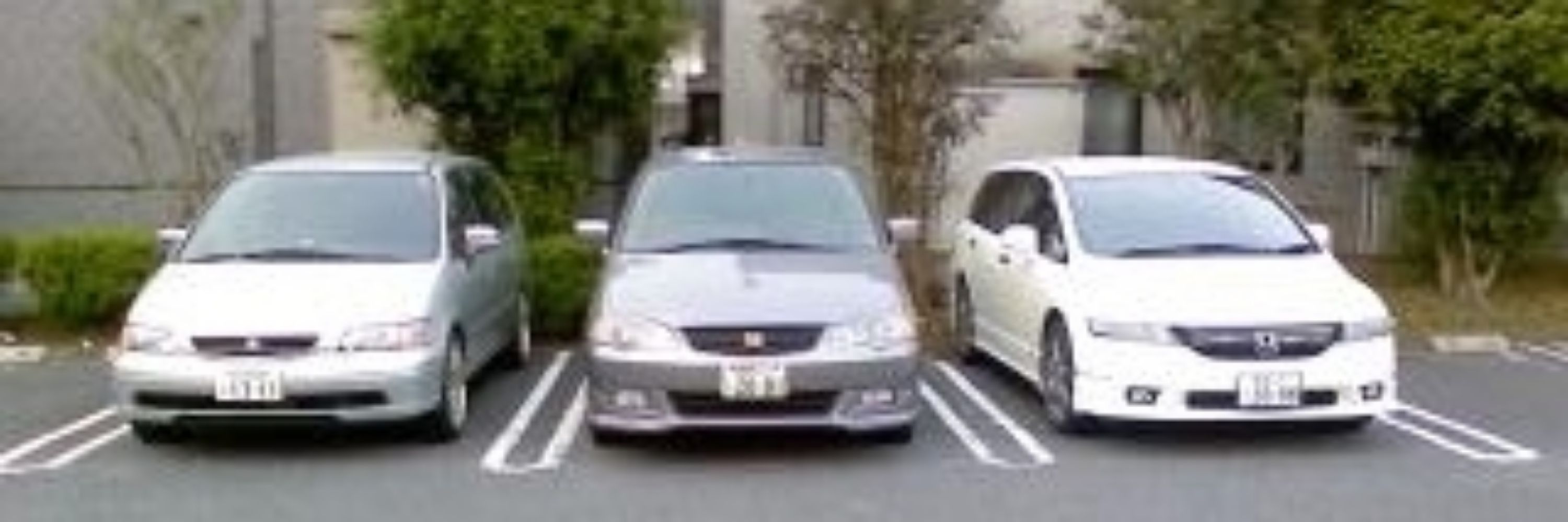 くれいじーとむにゃん(oФωФ)=○)´3｀)∴