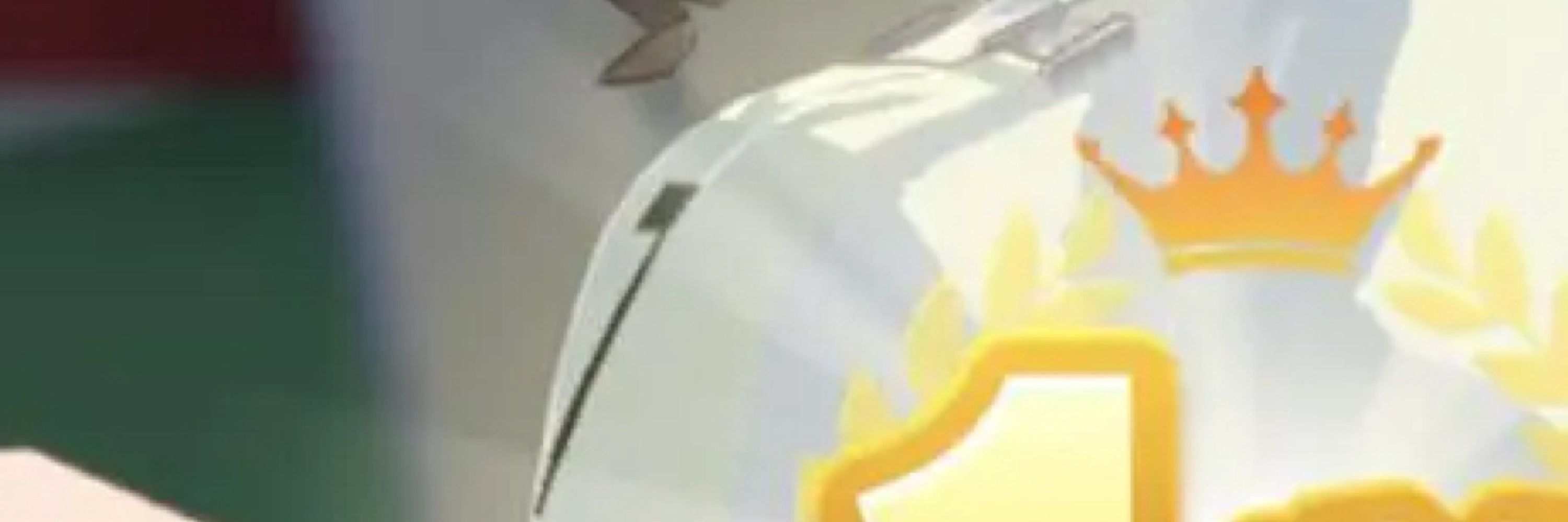 ﾎｰｽ・ﾄﾞﾔﾍﾞｴﾑﾈﾁｮｲﾓﾘ