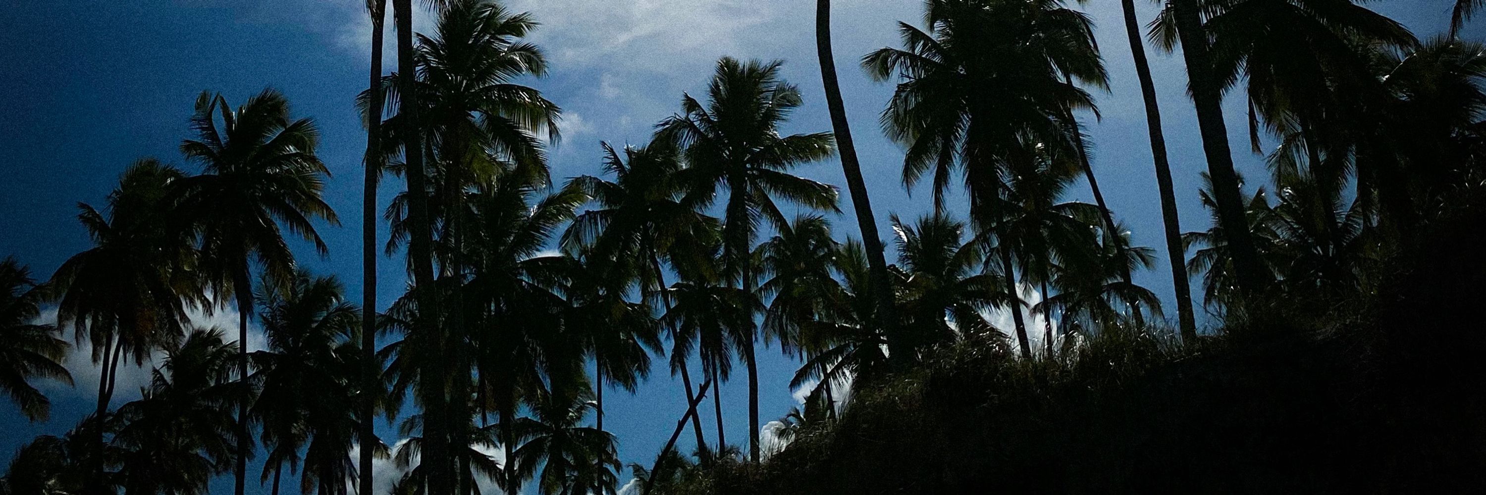 Jatøba 🇧🇷
