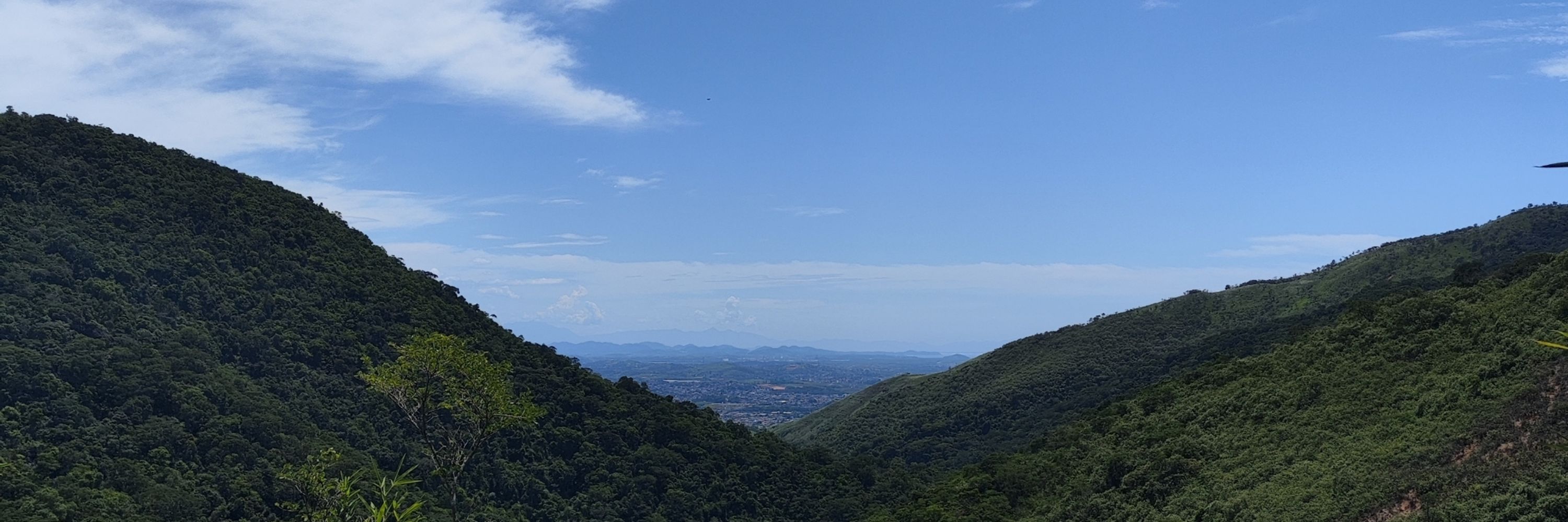 Pedro M