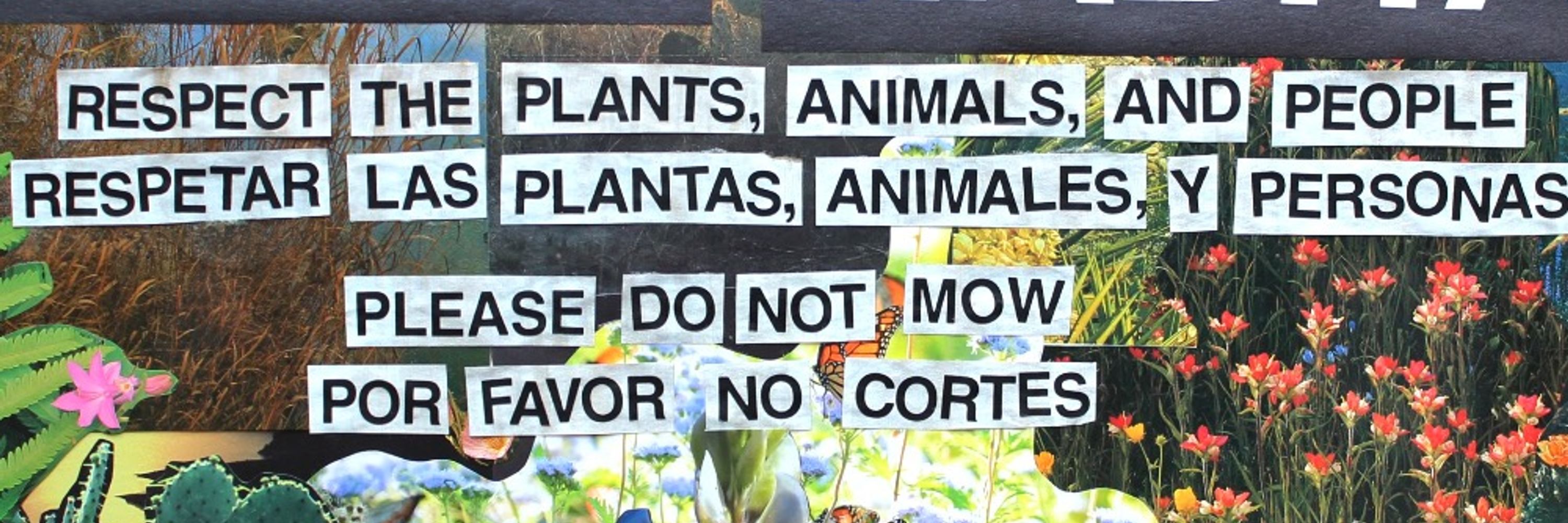 This is Native Habitat