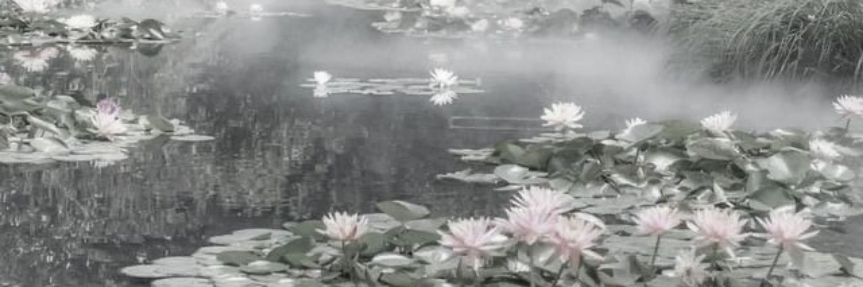 ♱