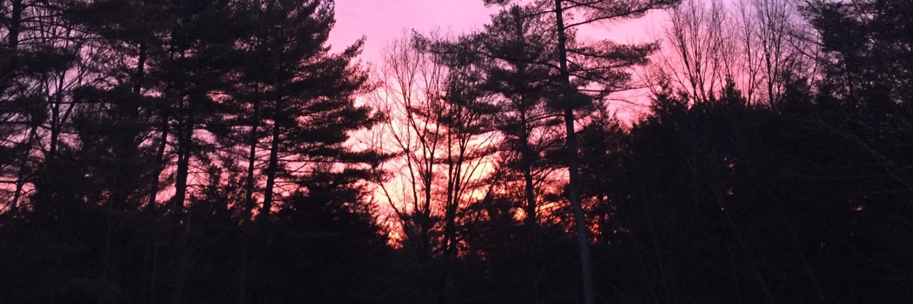 Western Mass Weather Bot