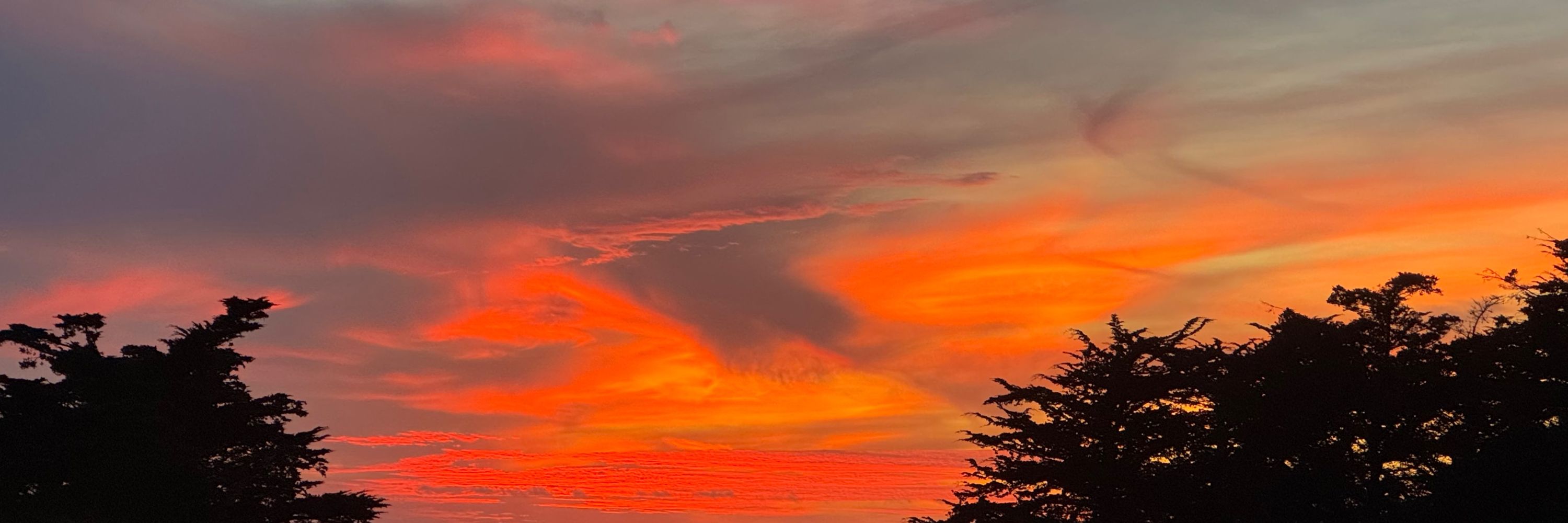 Linda in CA