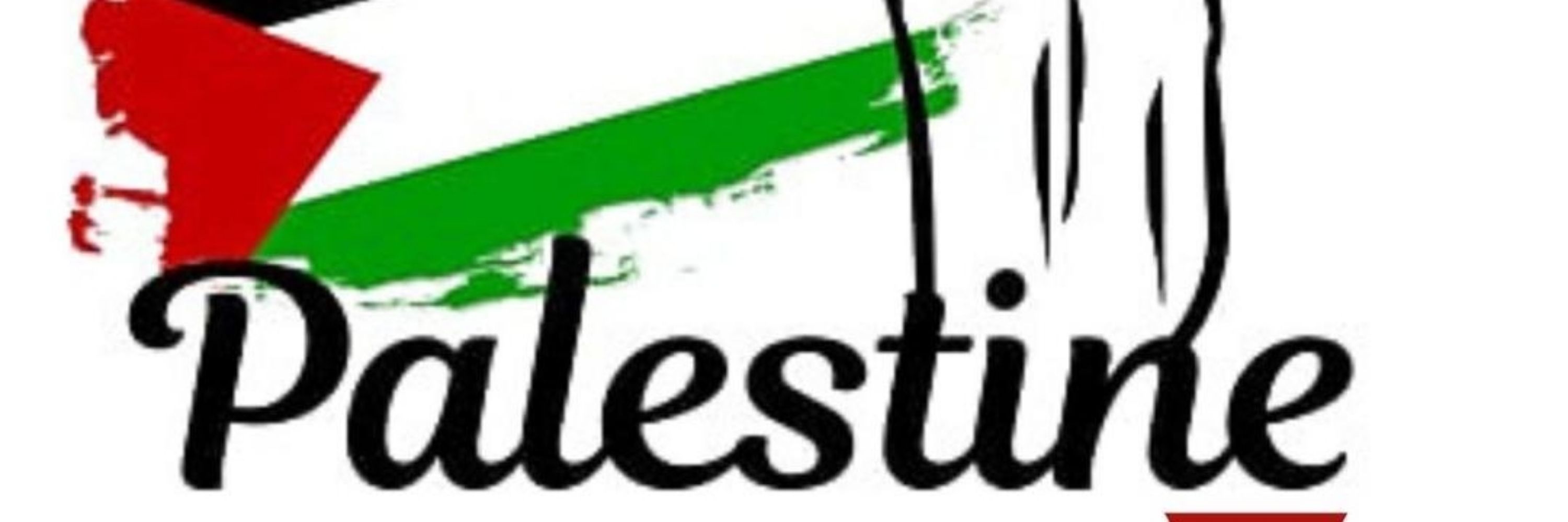 ReportbyPlestia