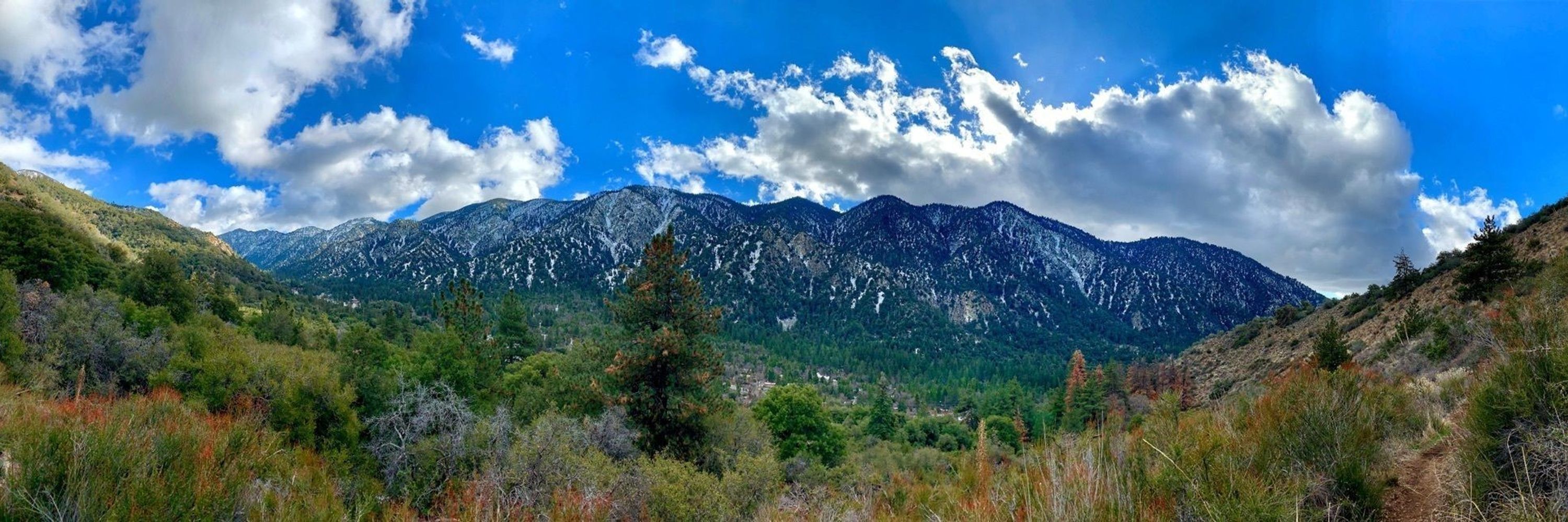 Rob Bignell, Hiking Trail Guidebook Author