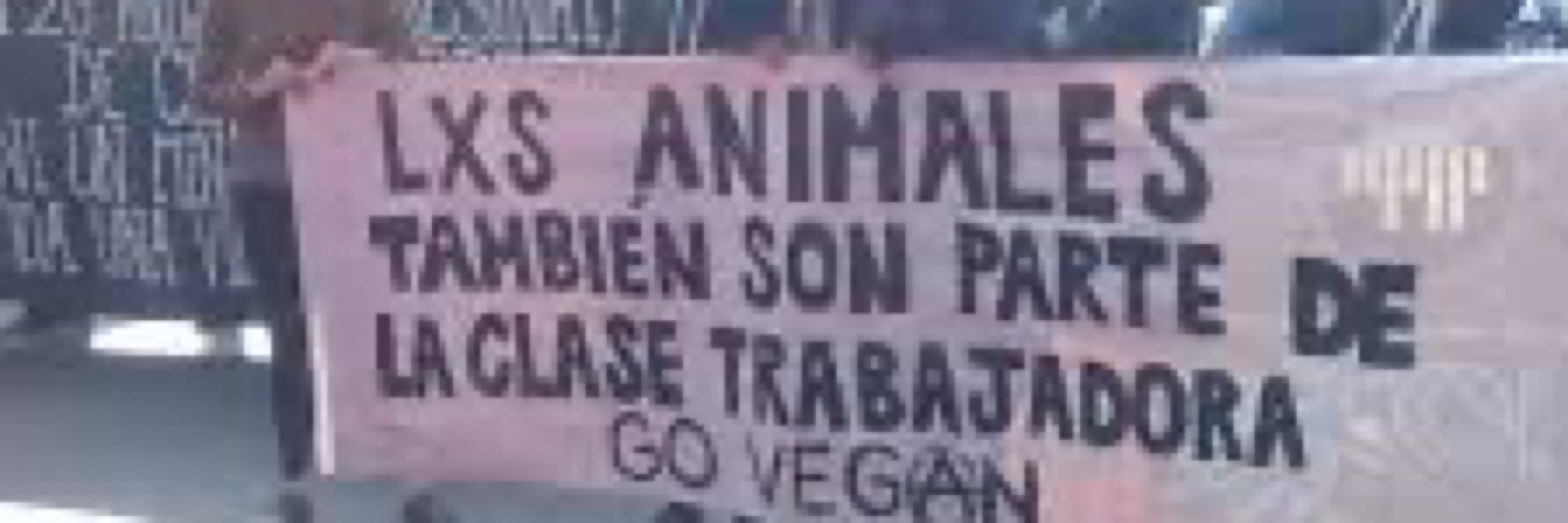 Grovas