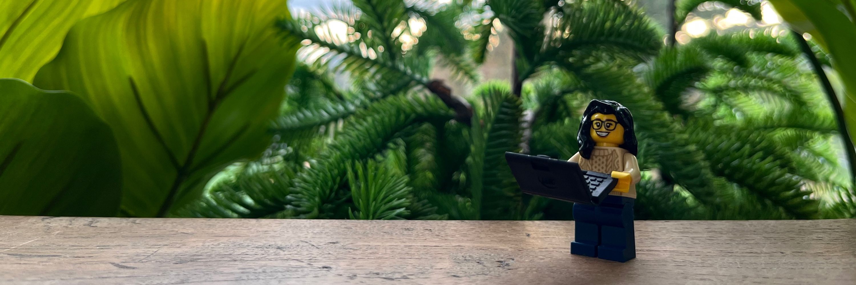 🍀