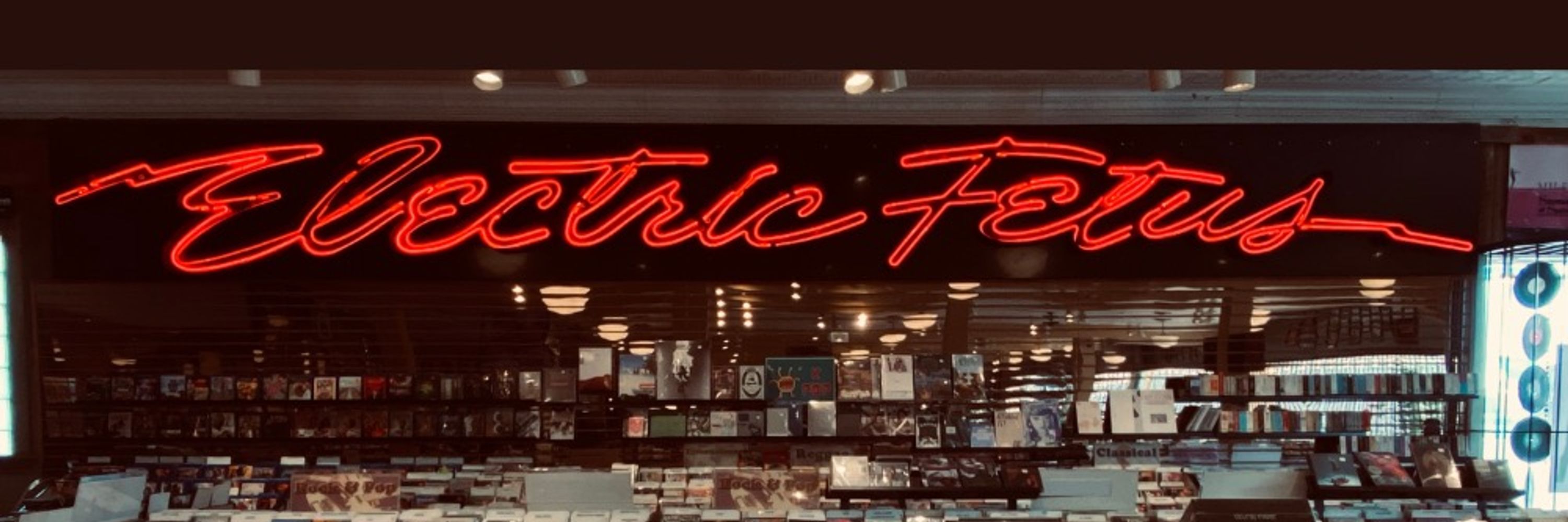 Electric Fetus