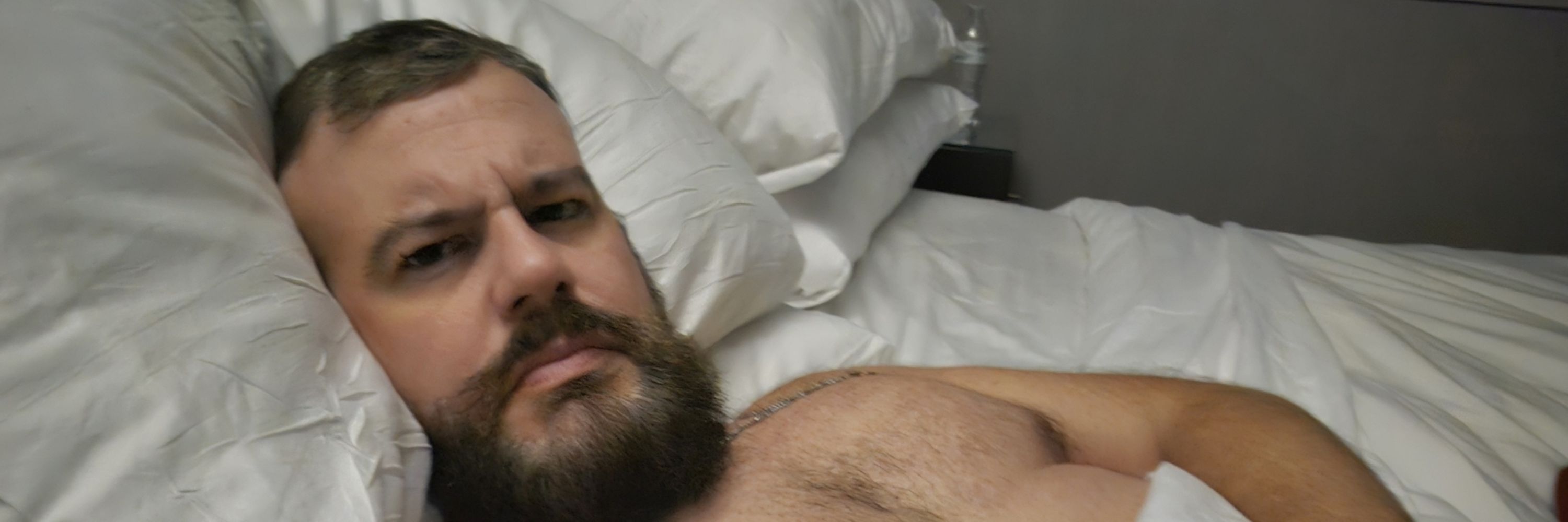 sf bearded bear-bro