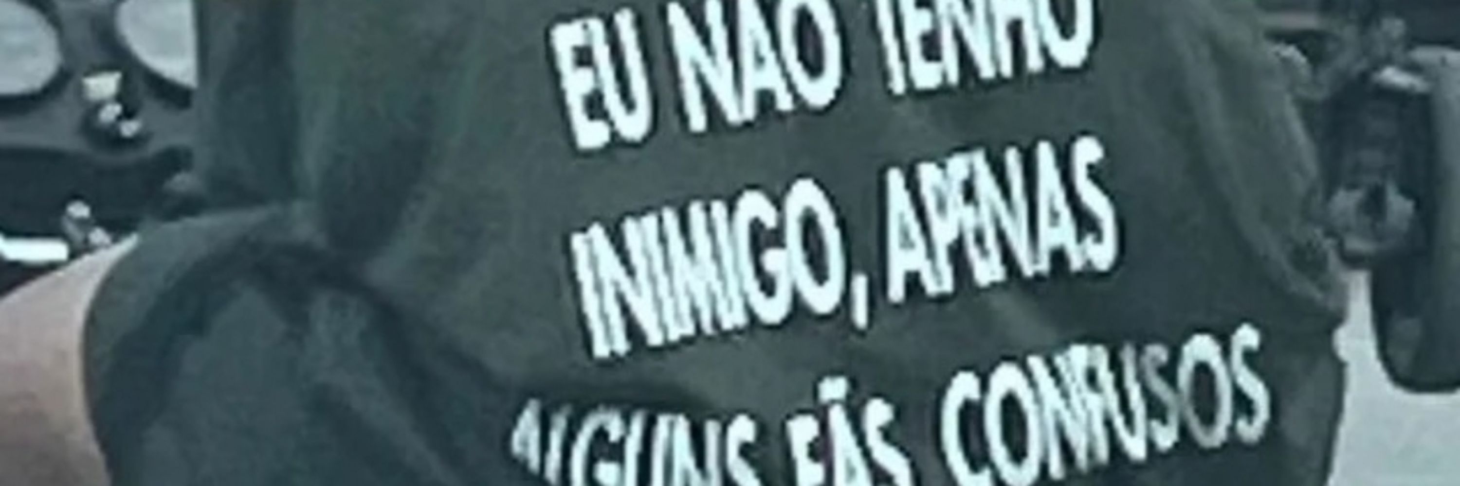 cachorro de praia