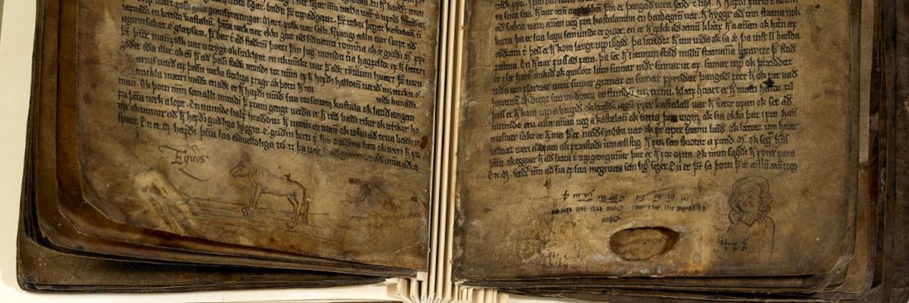 NECRON - Network of Early Career Researchers in Old Norse