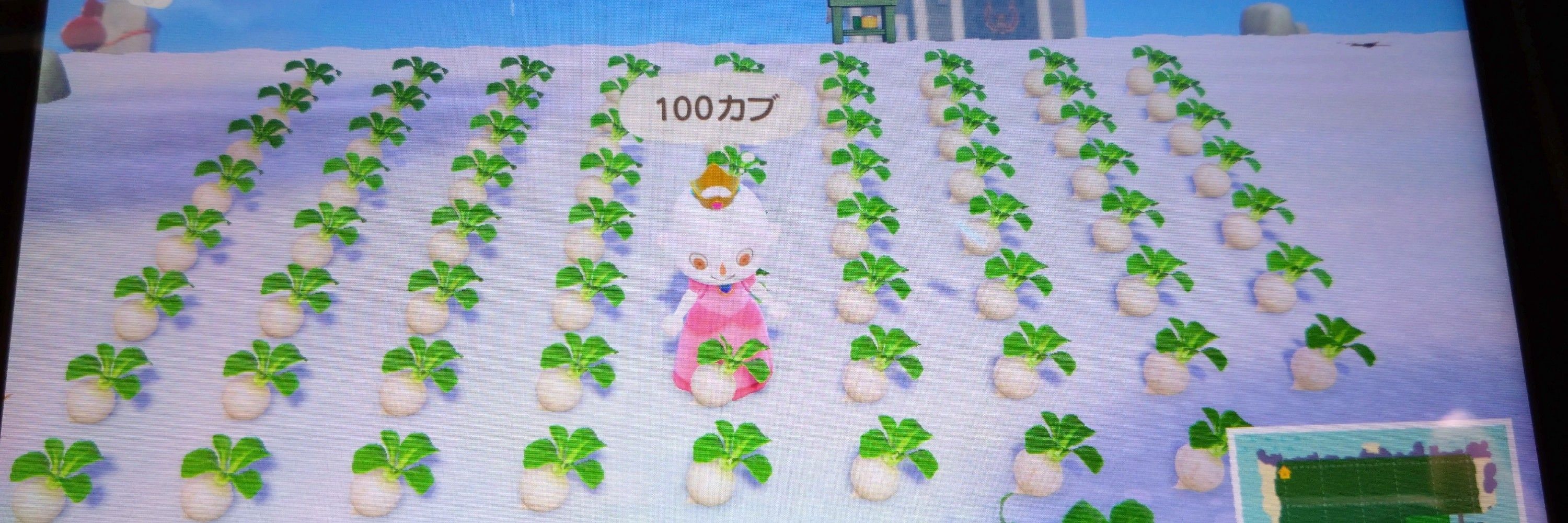 えちごや